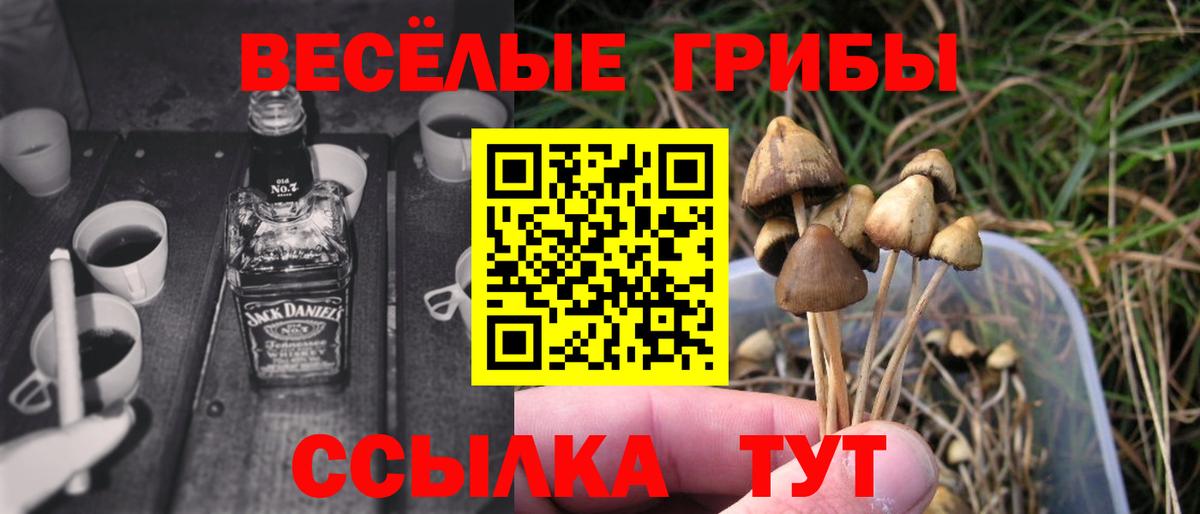 Галлюциногенные грибы Magic Shrooms  Галлюциногенные грибы Cubensis  Видное  Вход с VPN 